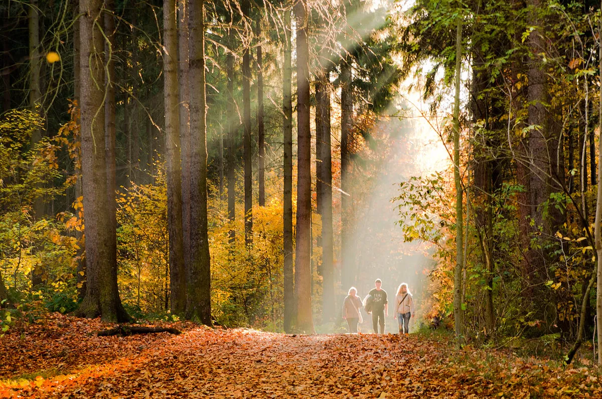 10 Best Easy Walks in Tavira Portugal | Your 2026 Travel Guide